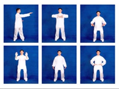 Tai-Ćigong_Beograd_Zdravstveni_ćigong_Health_Qigong_sistem_-_Liu_Zi_Jue.jpg